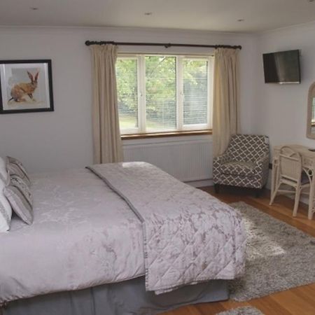 Cherry Tree Guesthouse ブラッドフォード・オン・エイヴォン 部屋 写真